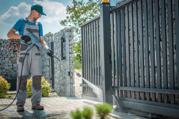Best Pre-Holiday Cleaning  in Winnsboro, TX