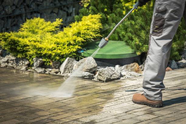 Best Solar Panel Cleaning  in Winnsboro, TX