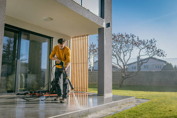 Animal Enclosure Cleaning in Winnsboro, TX